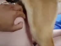 Picnic time for fucking